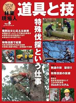 81VnCtzUvlL._AC_UF350,