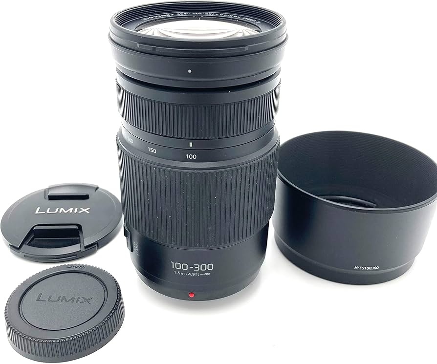 Amazon.com : Panasonic H-FSA100300 Interchangeable Lens LUMIX G