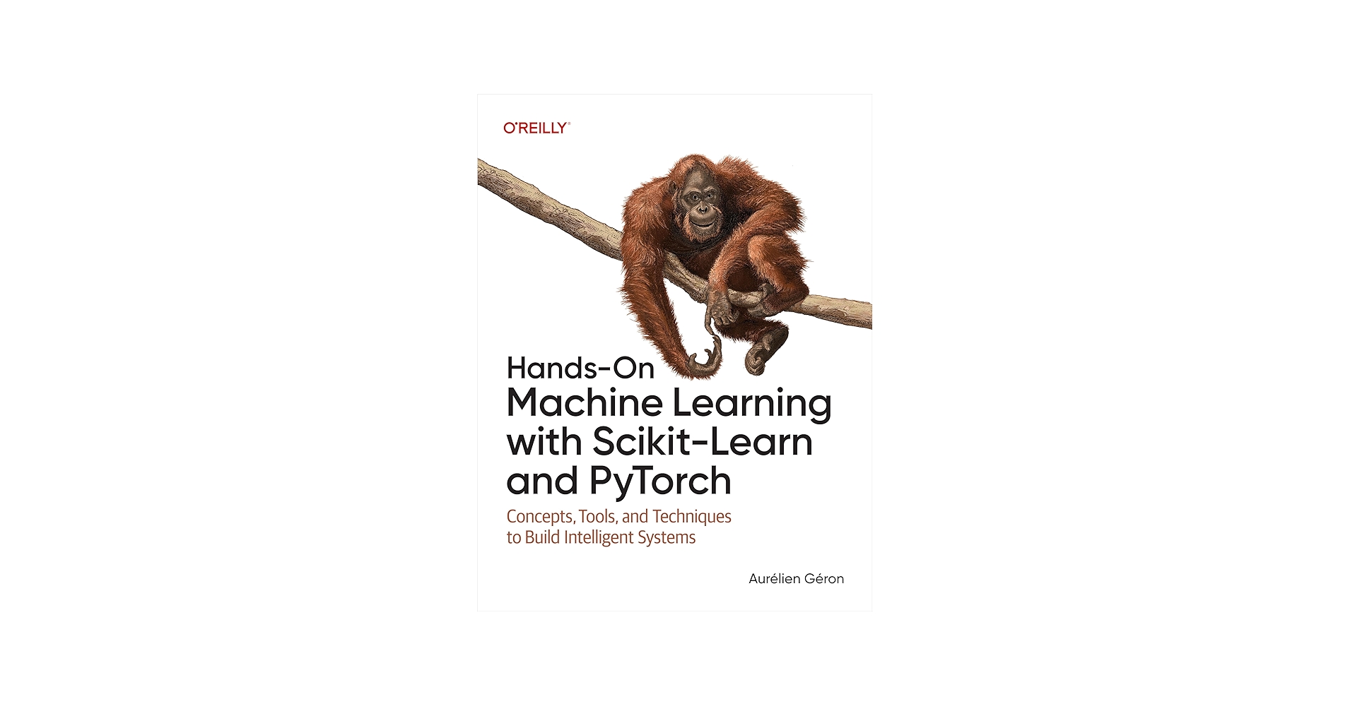 Hands-On Machine Learning with Scikit-Learn and PyTorch: Concepts