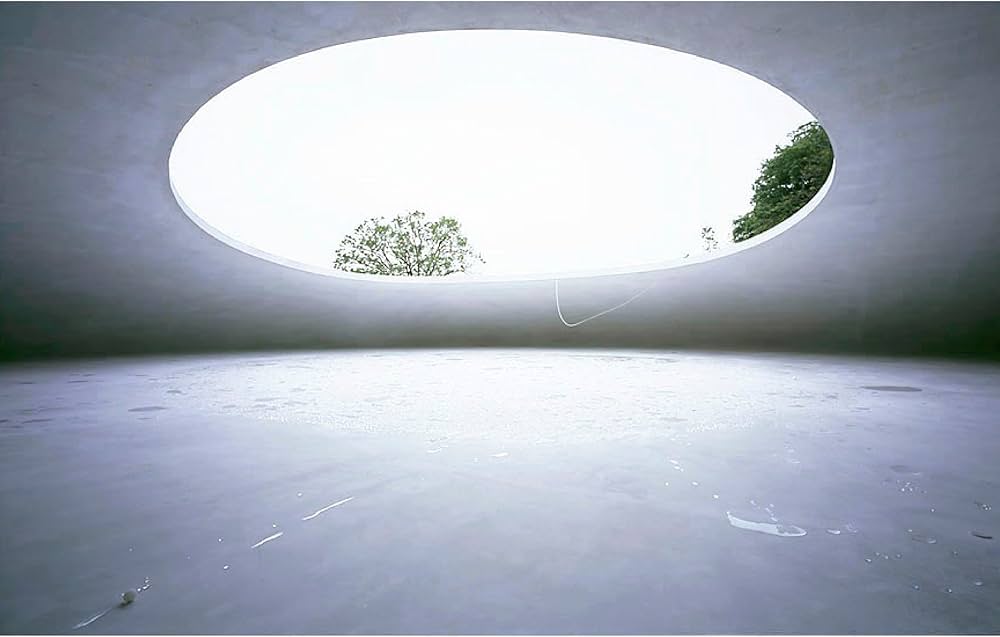 Amazon.co.jp: 豊島美術館 写真集 : 内藤 礼, 西沢 立衛, 鈴木 研一: 本