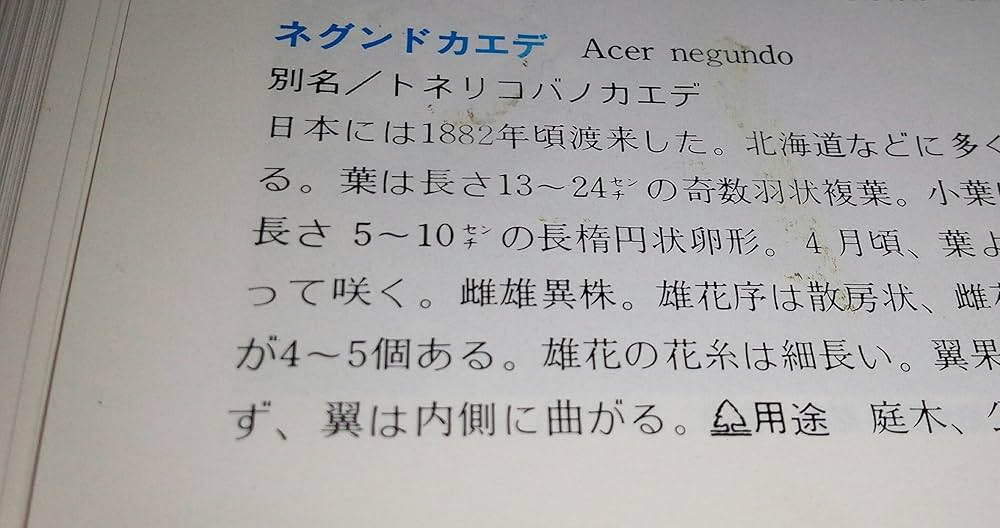 日本の樹木 (山渓カラー名鑑) | 林 弥栄 |本 | 通販 | Amazon