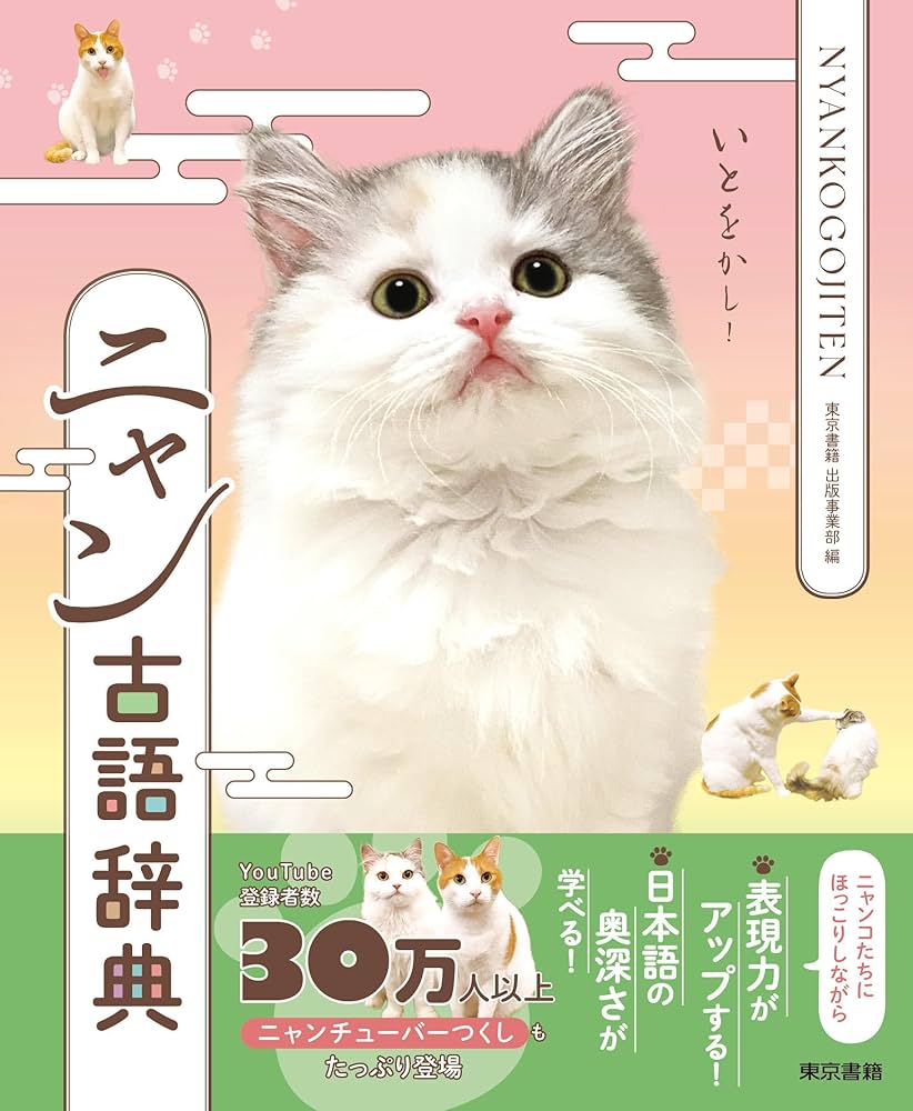 ベトナム語辞典にゃんかつ ベトナム語辞典にゃんかつ 319w+mGNW0L