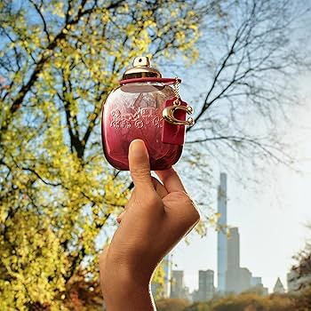 Amazon | コーチ ワイルドローズ オードパルファム 90mL | COACH