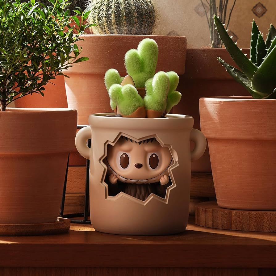 81XGFUybi7L._AC_UF894,