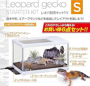 Amazon | ジェックス EXO TERRA レプテリア レオパ飼育キットS TV