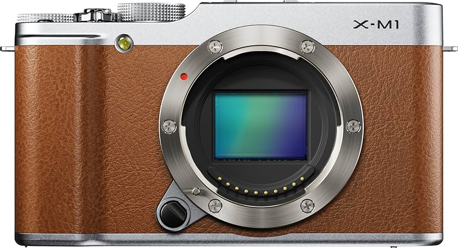 Amazon.com : Fujifilm X-M1 Compact System 16 MP Digital Camera