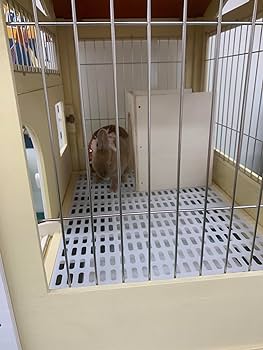 Amazon | もちつき うさぎ用ケージ 壱番館 北欧デザインペットハウス