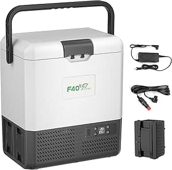 Amazon.co.jp: F40C4TMP 車載冷蔵庫 15L ポータブル冷蔵庫 【1つ