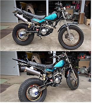 Amazon | JFG スリップオンマフラー TTR230 05-16 TW200 バイク