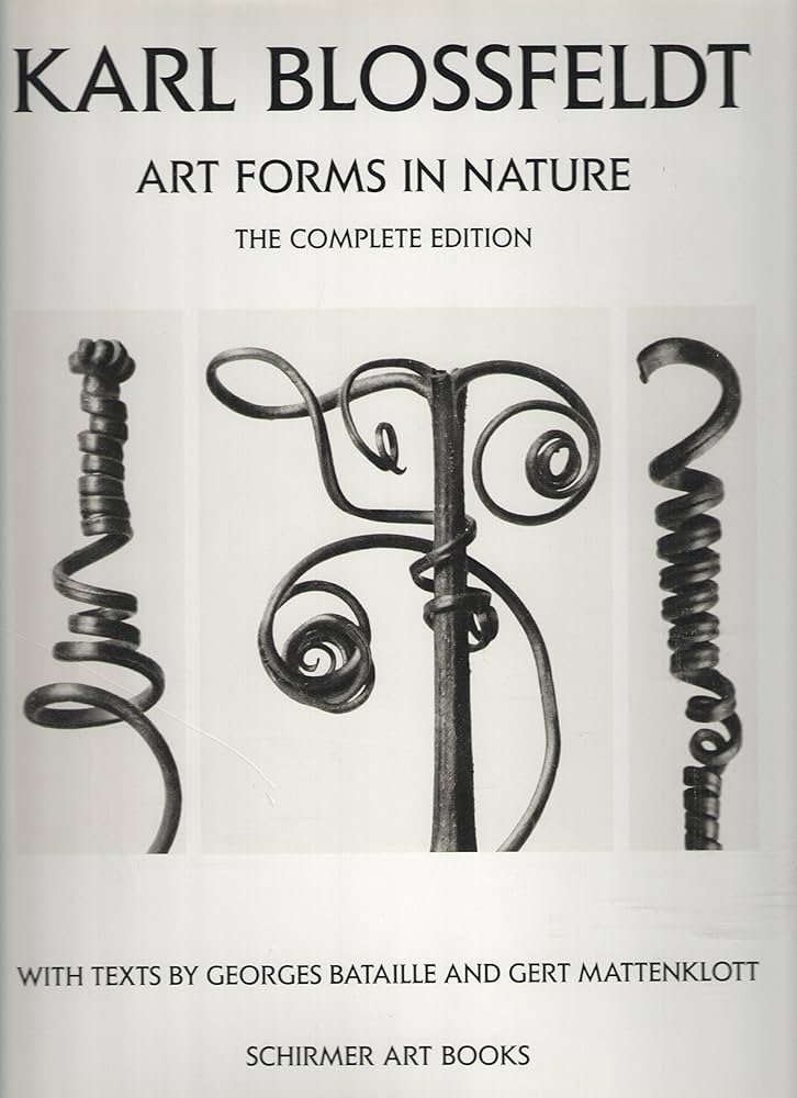 Amazon.com: Karl Blossfeldt: Art Forms in Nature: 9783888146275