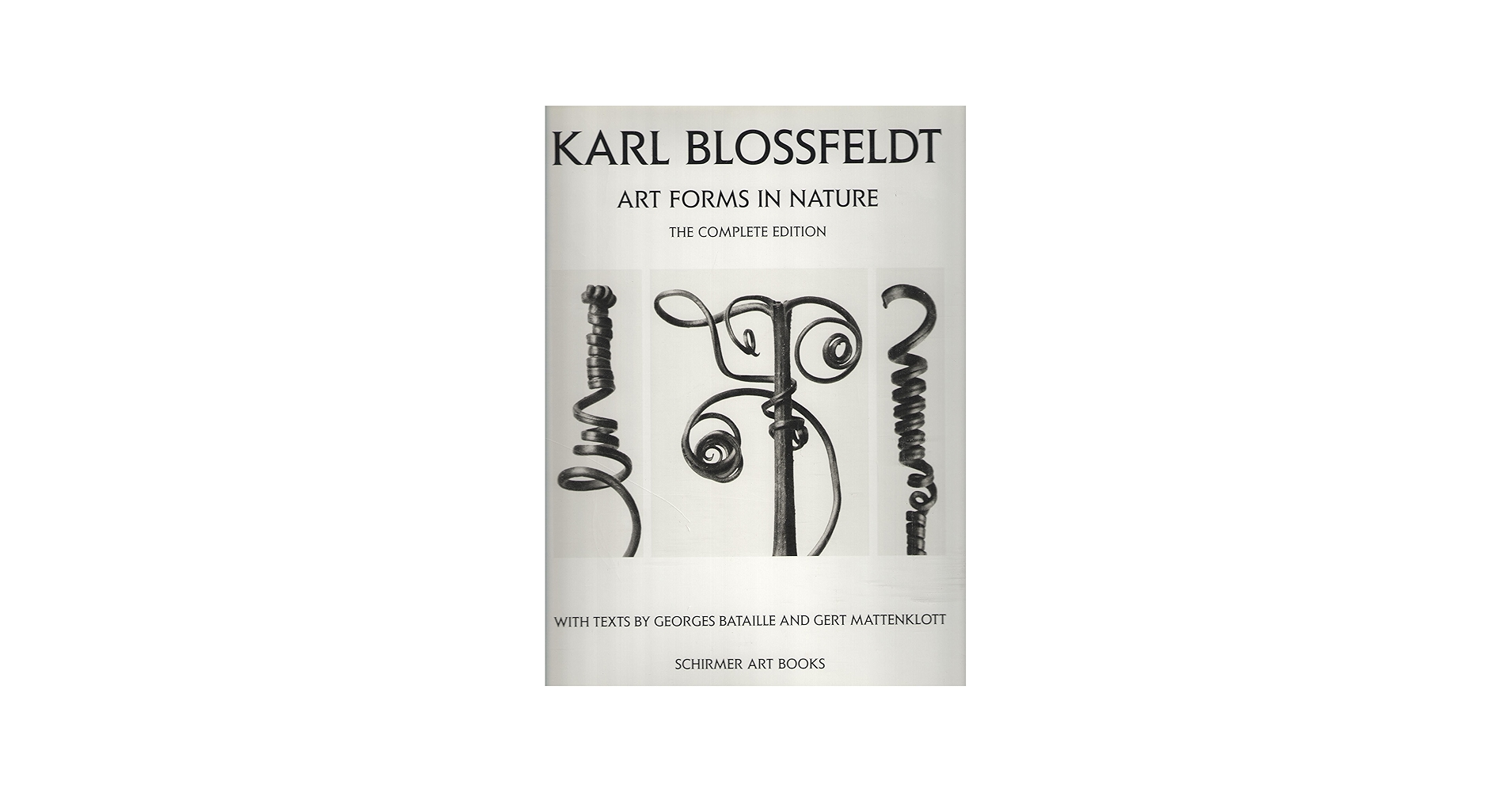 Amazon.com: Karl Blossfeldt: Art Forms in Nature: 9783888146275