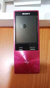 81XwYeZMimL._AC_UF350,