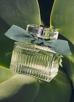 Amazon.com : Chloe Rose Naturelle Intense by Chloe for Women - 1.6