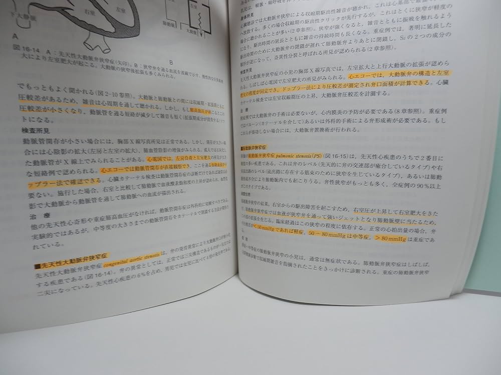 Amazon.co.jp: 心臓病の病態生理 : LeonardS. Lilly, 正敏, 川名, 陽子