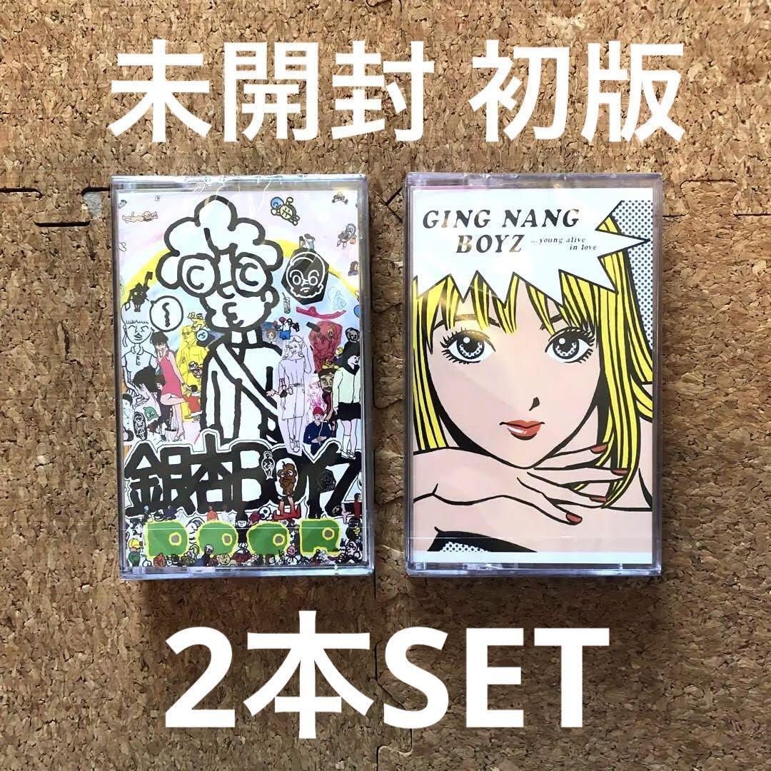 Amazon.co.jp: 初版 銀杏BOYZ 君と僕の第三次世界大戦的恋愛革命 door