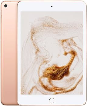 Amazon.com : Apple iPad mini 5th Generation, Wi-Fi, 256GB - Gold