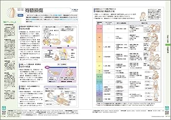 病気がみえる vol.11 運動器・整形外科 第2版 | 医療情報科学研究所