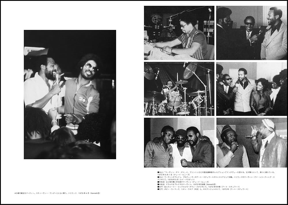 Amazon.co.jp: マーヴィン・ゲイ物語 引き裂かれたソウル (P‐Vine