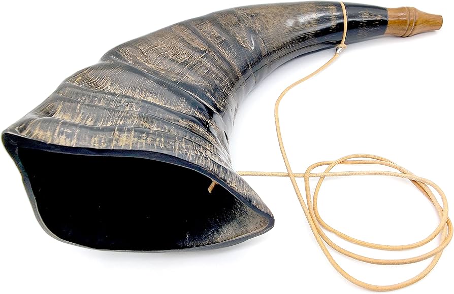Amazon.co.jp: Viking War バッファローホーン バトル トランペット