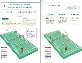 バドミントンの戦い方 (マルチアングル戦術図解) | 藤本 ホセマリ |本
