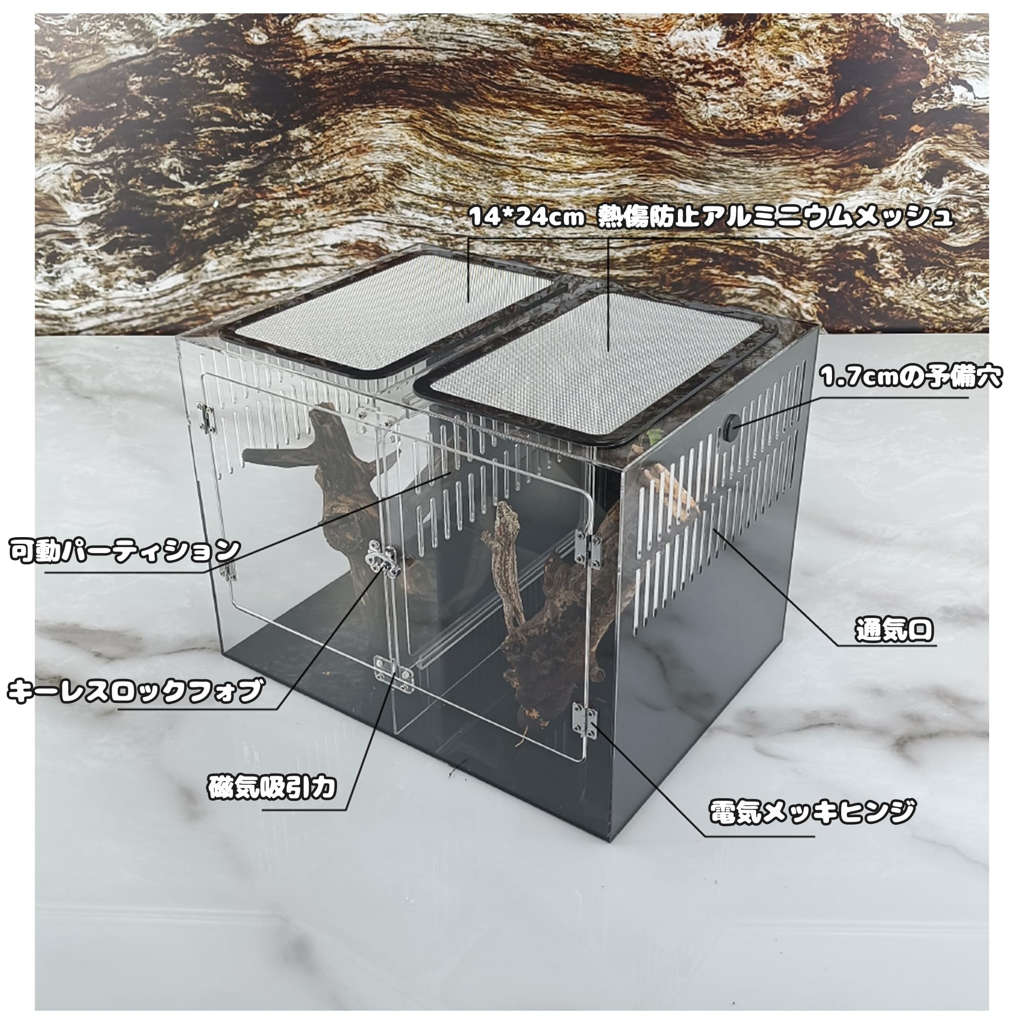 Amazon | 40cm30cm30cm爬虫ケージ 中間仕切り付き2匹のペットを隔離