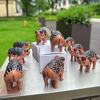 Amazon.com: Yurtziru 1Pcs Angry Toad Cute African Rain Frog