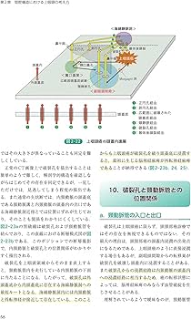 頭頸部外科診療に役立つ 頭頸部管腔構造の理解 | 西嶌 渡 |本 | 通販