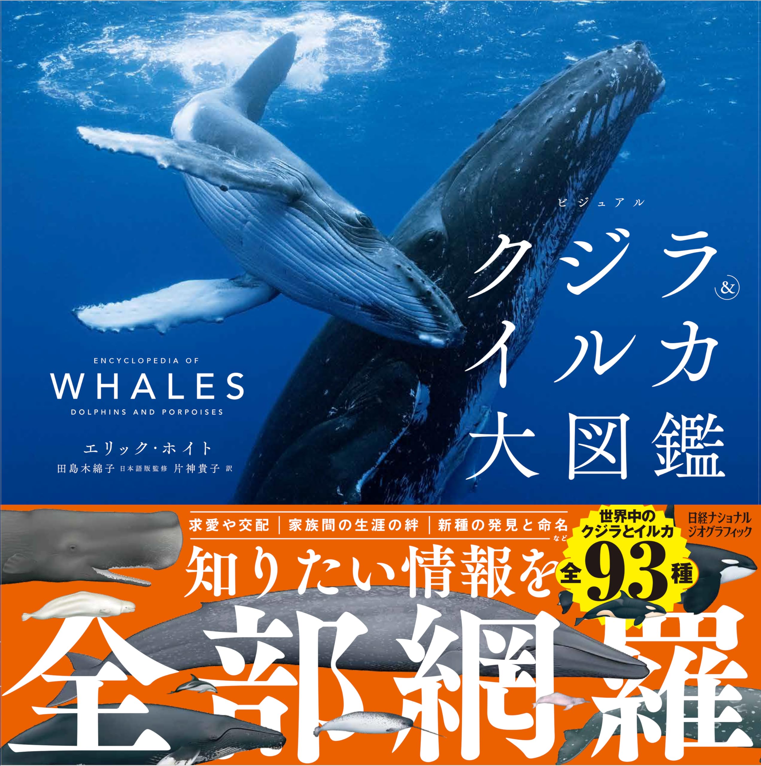 ビジュアル クジラ＆イルカ大図鑑 | エリック・ホイト, ナショナル