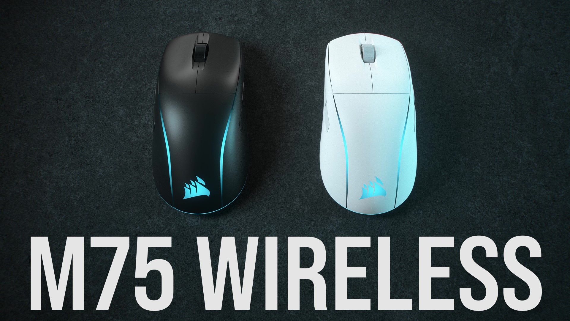 Amazon.com: Corsair M75 Wireless RGB Lightweight FPS Gaming Mouse