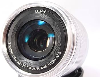 Amazon.com : Panasonic Telephoto Zoom Lens for Micro Four Thirds