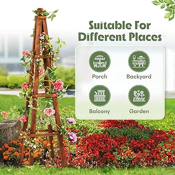 Amazon.com : Idzo 61-Inch Wood Obelisk Trellis for Climbing Plants