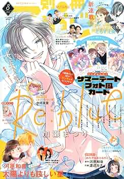 81ar+sJ784L._AC_UF350,