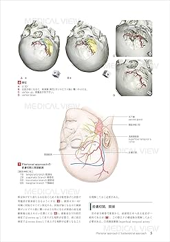 新 脳神経外科手術のための解剖学 | 塩川 芳昭, 斉藤 延人, 川原 信隆
