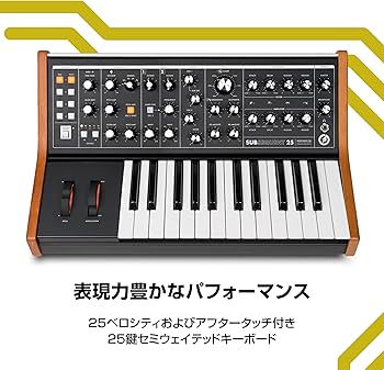 Amazon.co.jp: MOOG Subsequent 25 パラフォニック・アナログ