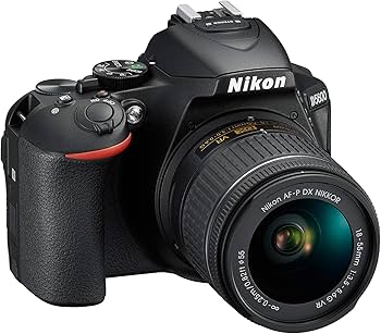 Amazon.com : D5600 DX-Format Digital SLR w/AF-P DX NIKKOR 18-55mm