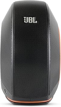 Amazon.co.jp: JBL Pebbles バスパワードスピーカー USB/DAC内蔵