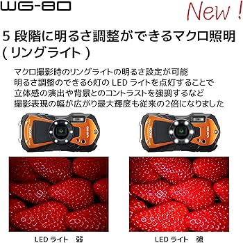Amazon.com : Ricoh WG-80 Orange Waterproof Digital Camera