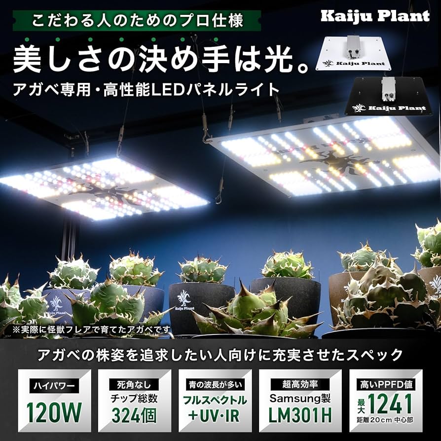 Amazon.co.jp: Kaiju Plant 怪獣フレア301(ブラック) 120W 室内に太陽