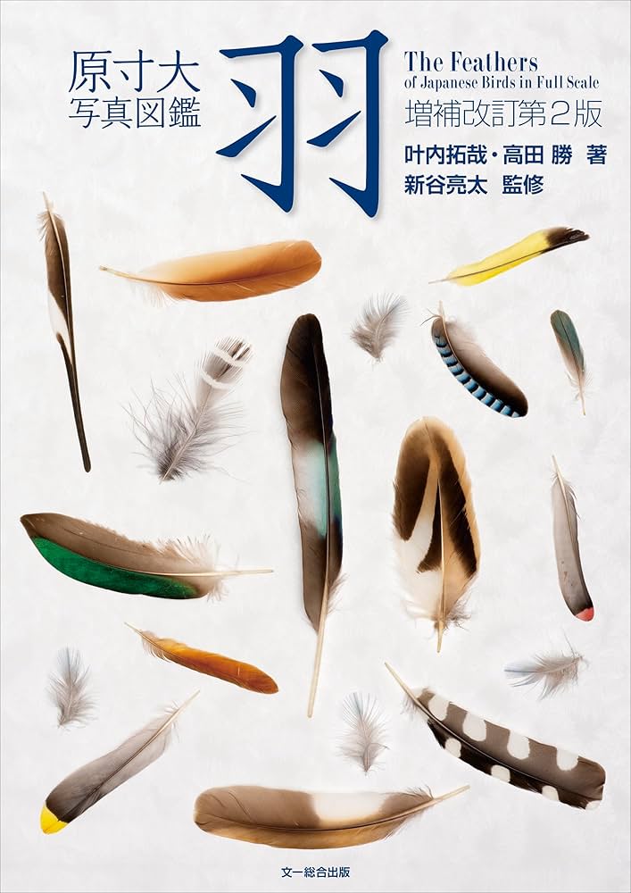 原寸大写真図鑑 羽 増補改訂第2版 | 叶内 拓哉, 高田 勝, 新谷 亮太