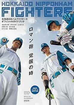 81e6ovi05VL._AC_UF350,