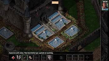 Amazon.com: Baldur's Gate Enhanced Edition (Nintendo Switch