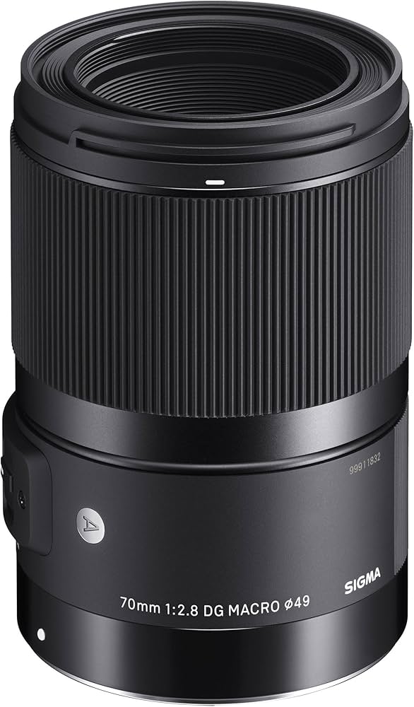 Amazon.com : Sigma 70mm F2.8 Art DG Macro for L Mount : Electronics