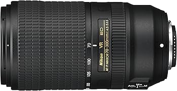 Nikon AF-P NIKKOR 70-300mm f/4.5-5.6E ED VR Fixed Zoom Digital Slr