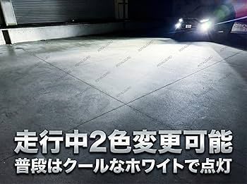 Amazon | 【2026年モデル】ロイヤルガード Ω(オメガ)シリーズ LED