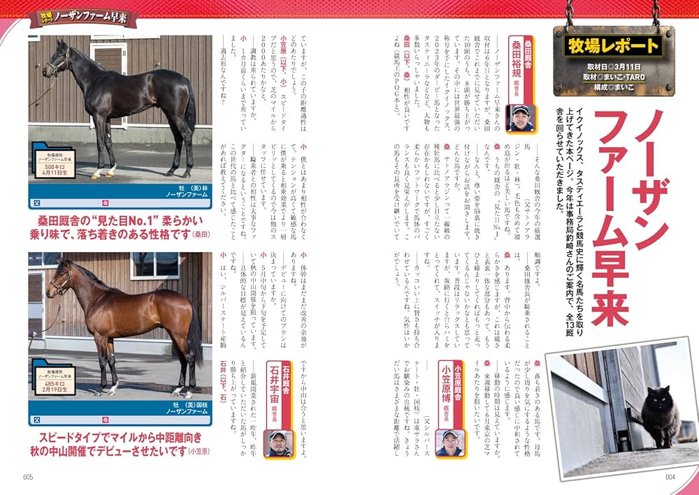 競馬王のPOG本 2025-2026 (GW MOOK 950) | 競馬王編集部 |本 | 通販