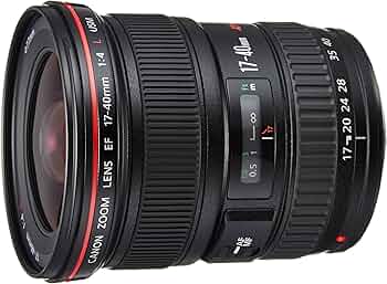 81fsZjxs7BL._AC_UF350,