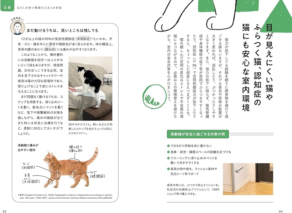 猫の介護ハンドブック 〜気持ちに寄り添う緩和ケア・ターミナルケア