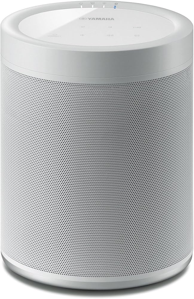 Amazon.com: Yamaha WX-021 MusicCast 20 Wireless Speakers - Pair