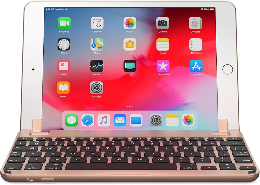Amazon.com: Brydge 7.9 Keyboard for iPad Mini (2019) and iPad Mini