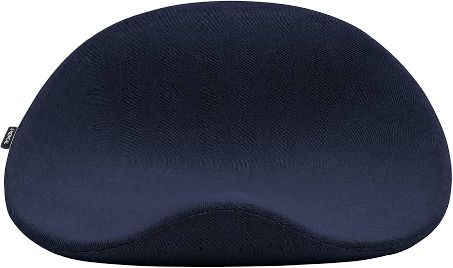 Amazon.co.jp: アンドメディカル KURA SEAT 座椅子 姿勢矯正 腰痛 椅子